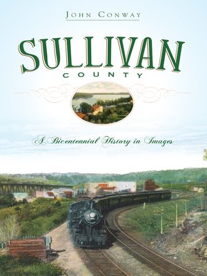 cover image of Sullivan County